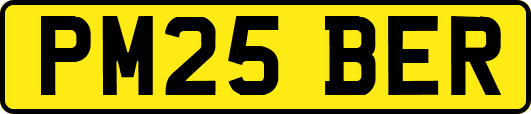 PM25BER