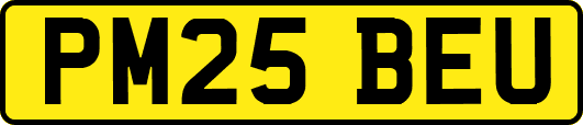 PM25BEU