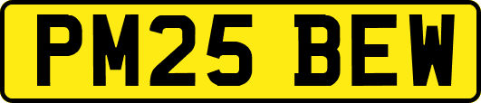 PM25BEW