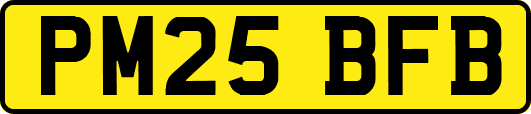 PM25BFB