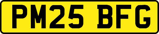 PM25BFG