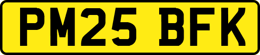 PM25BFK