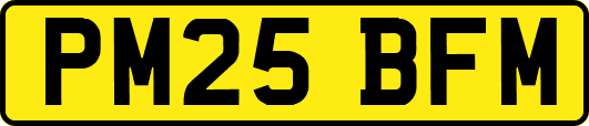 PM25BFM