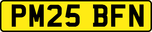 PM25BFN