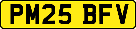 PM25BFV