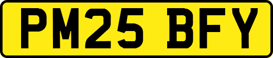 PM25BFY