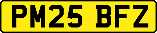 PM25BFZ