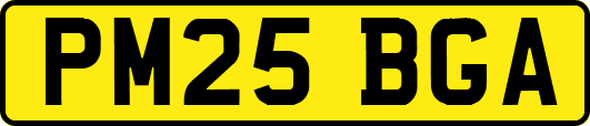 PM25BGA