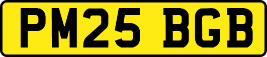 PM25BGB