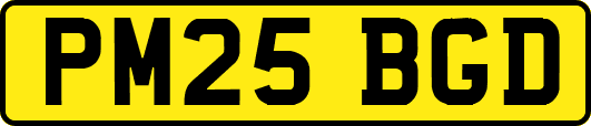 PM25BGD