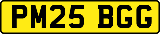 PM25BGG