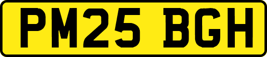 PM25BGH