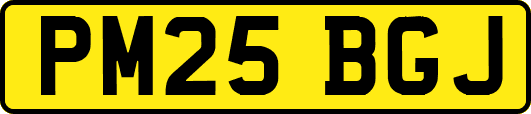 PM25BGJ