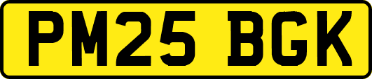 PM25BGK