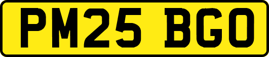 PM25BGO