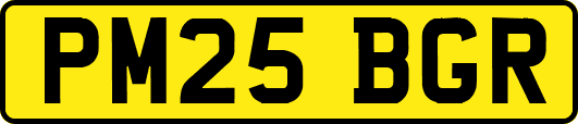 PM25BGR