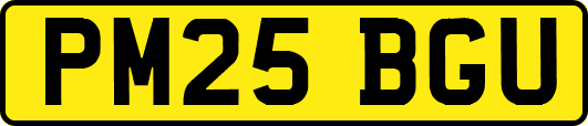 PM25BGU