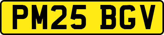 PM25BGV