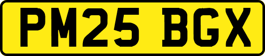 PM25BGX