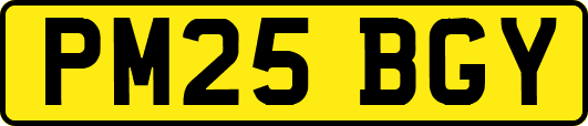 PM25BGY