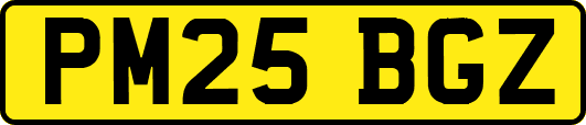 PM25BGZ
