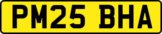 PM25BHA