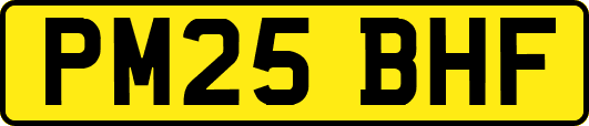PM25BHF