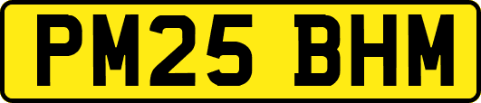 PM25BHM