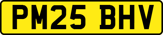 PM25BHV