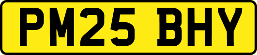 PM25BHY