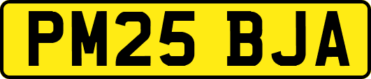 PM25BJA