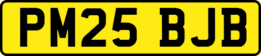 PM25BJB