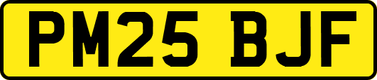 PM25BJF