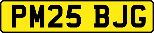 PM25BJG