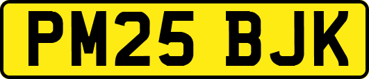 PM25BJK