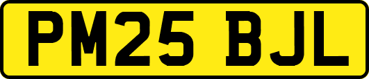PM25BJL