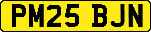 PM25BJN