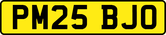PM25BJO