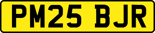 PM25BJR