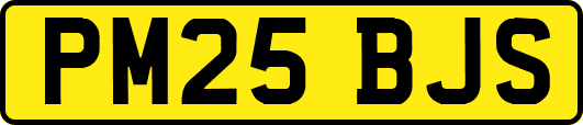 PM25BJS