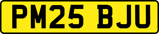 PM25BJU
