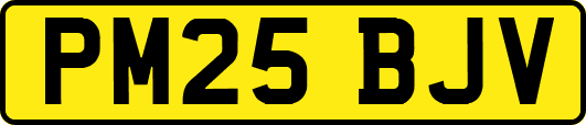 PM25BJV