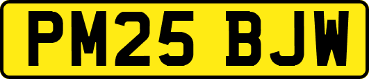 PM25BJW