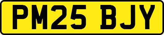 PM25BJY
