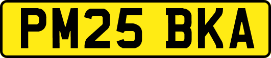 PM25BKA