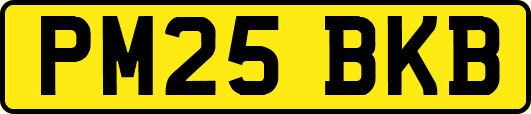 PM25BKB