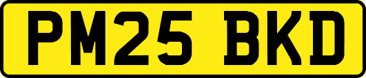 PM25BKD