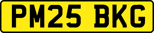 PM25BKG
