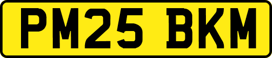 PM25BKM