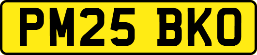 PM25BKO